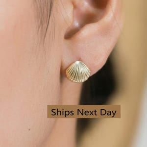 Shell Stud Earrings, Sea Shell Stud Earrings, Ocean Stud Earrings, Tiny Shell Earrings for Women, Valentine's Day Gift