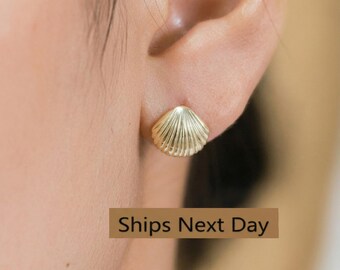 Shell Stud Earrings, Sea Shell Stud Earrings, Ocean Stud Earrings, Tiny Shell Earrings for Women, Valentine's Day Gift