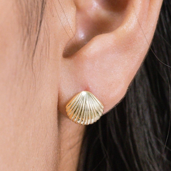 Shell Stud Earrings, Sea Shell Stud Earrings, Ocean Stud Earrings, Tiny Shell Earrings for Women