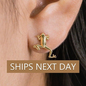 Frog Stud Earrings, Vintage Animals Earrings, Earring For Women, Jumping Frog Earrings, Gift for Her, Mother&#39;s Day Gift