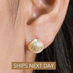 Shell Stud Earrings, Sea Shell Stud Earrings, Ocean Stud Earrings, Tiny Shell Earrings for Women, Valentinus&#39;s Day Gift