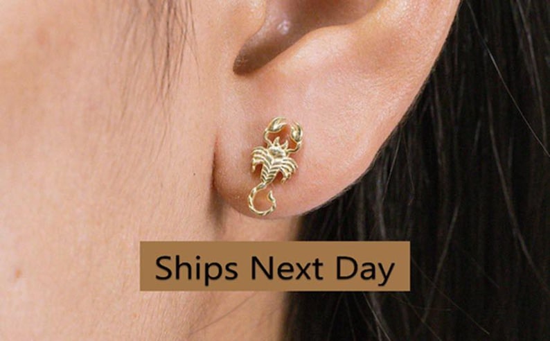 Scorpion Stud Earrings, Scorpion Studs, Animal Earring For Women, Dainty Stud Earring, Insect Jewelry, Gift for her image 1