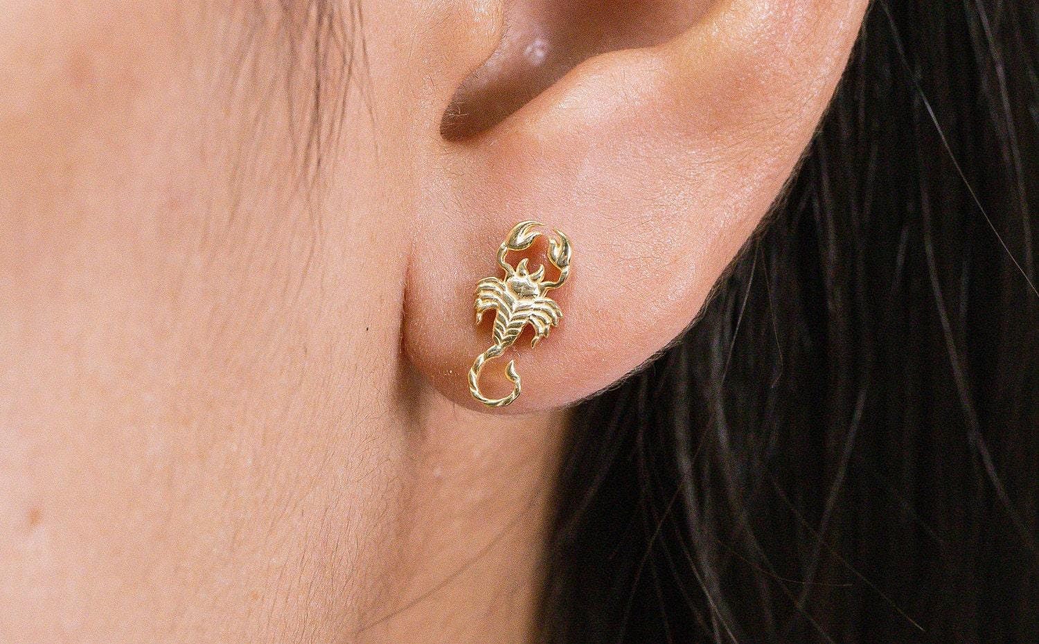 Punk Stainless Steel Drop Earring 12 Constellation Charm Scorpio Earrings  for Women Men Gothic Ear Jewelry Accessories Gifts - AliExpress
