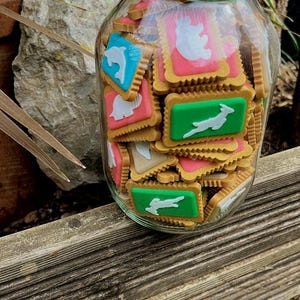 Zoo Cookie Magnets