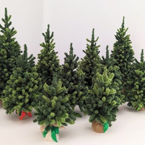 Handmade 1:12 Scale Miniature Pine Tree - Dollhouse Christmas Decoration
