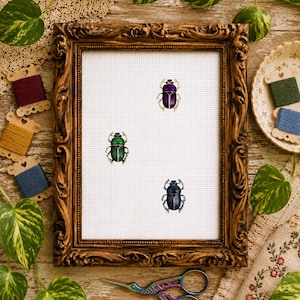 May include: A cross-stitch pattern featuring three metallic-coloured beetle illustrations—one purple, one green, and one dark blue—centred on a white Aida fabric grid, enclosed within an ornate, dark brown, rectangular wooden picture frame.