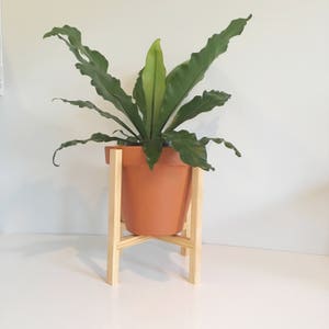 24cm Wooden pot plant stand plant holder timber wood retro mid-century modern housewarming gift home decor indoor wood home free shipping image 5