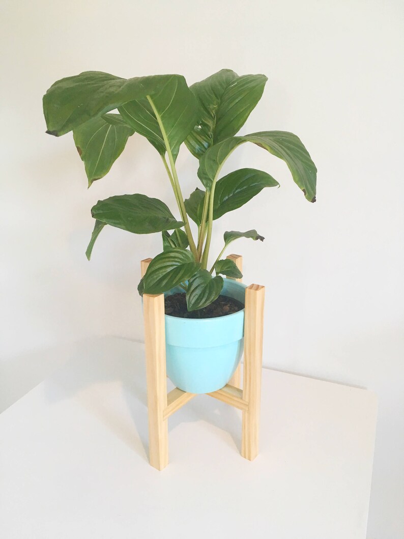16cm Wooden pot plant stand wood pot plant holder timber retro Etsy
