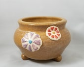 Round Korean succulent pot. Lt brown with raised multi-color flowers. 5.5 quot dia x 3.5 quot tall.