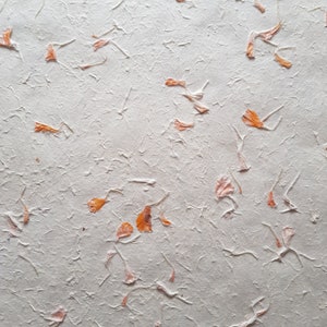 Petal Lokta-papier, handgemaakt in de Himalaya. Boomvrij en duurzaam: gebruik; Omslag/decoratief/boekband 80 gsm *goudsbloembloemblad*