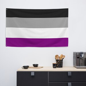 Asexual Pride Flag, Ace Pride Indoor or Outdoor Flag, Asexuality Coming ...