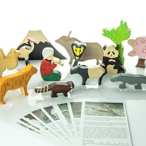 Animals of Asia | Waldorf toys | Educational toys, Wooden figurines | Waldorf wooden toys