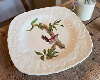 Vintage Alfred Meakin Birds of America Bewick's Wren Porcelain Plate