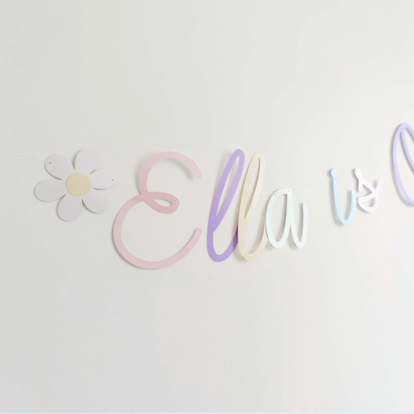 Pancarta personalizada para el primer cumpleaños: Decoraciones para fiestas en tonos pastel