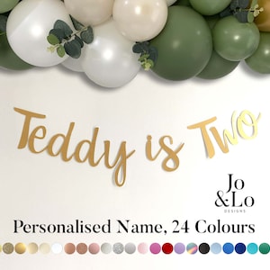 May include: Gold glitter banner with the text "Teddy is Two" and the logo "Jo & Lo Designs".  The banner is decorated with a garland of white and green balloons.  The banner is available in 24 colors.