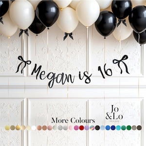 Personalised 16th Birthday banner: Sweet Sixteen Party Bunting Decoration ANY AGE