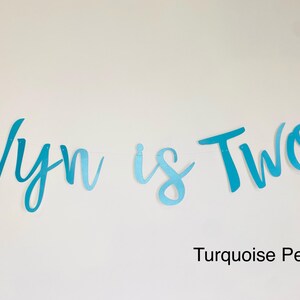 May include: Turquoise and blue ombre banner with the text "Wyn is Two" in a cursive font. Turquoise Pearl.