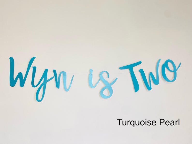 May include: Turquoise and blue ombre banner with the text "Wyn is Two" in a cursive font. Turquoise Pearl.