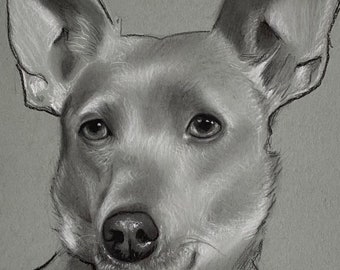 Custom Charcoal Pet Portrait on 9x12 inch Toned Paper