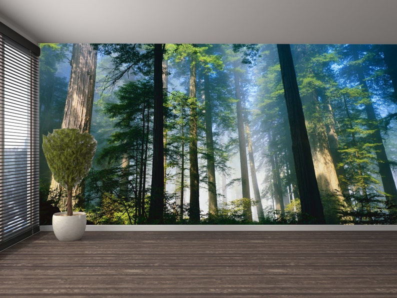 Wallpaper Mural Forest View in Fog Wall Art Wall Mural Etsy