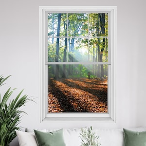 Könnte beinhalten: Ein Fensterblick auf einen Wald mit Sonnenlicht, das durch die Bäume scheint. Der Boden ist mit heruntergefallenen Blättern bedeckt, was eine warme, herbstliche Szene erzeugt.