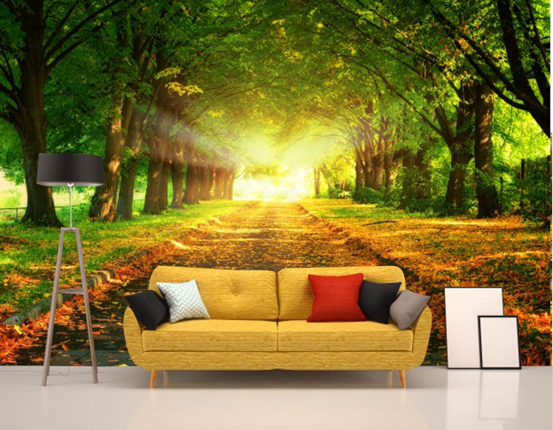 Wallpaper Mural Forest Road Sunset Landscape Wall Art Wall Etsy