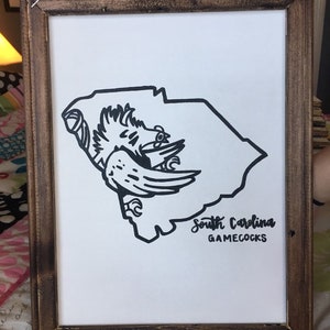 South Carolina Gamecocks