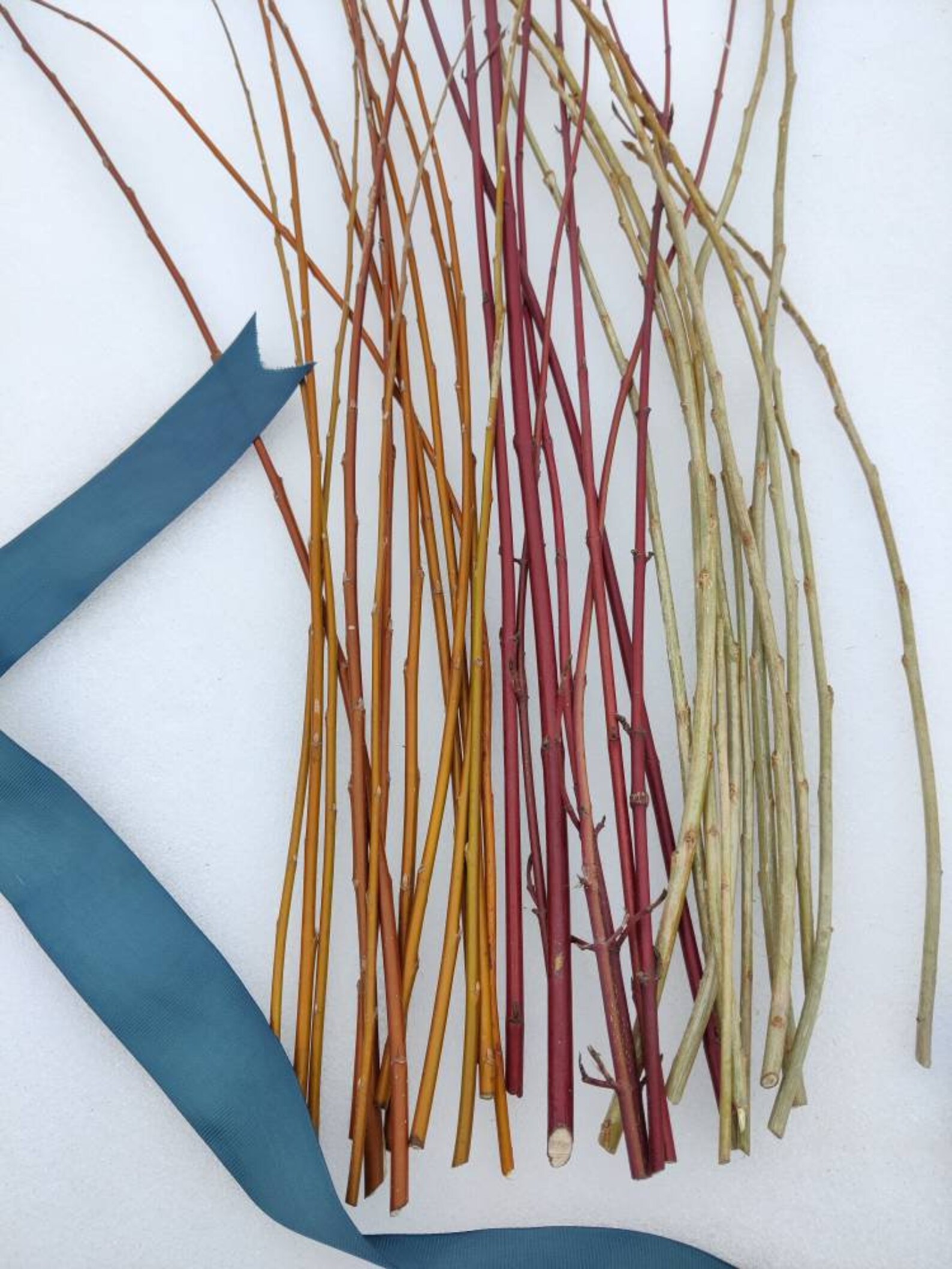 Colored Dry Twigs for Home Decor Dried Branches Wood Sticks Etsy