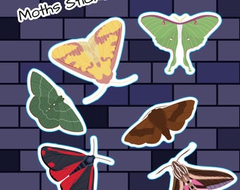 British Columbia Moths Vinyl Stickers - 2"