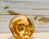 Rare Jeanette Anniversary Vintage Marigold Carnival Glass Bowl