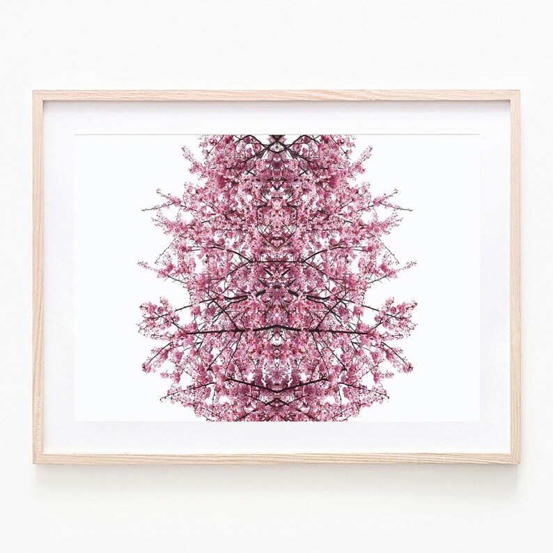 Pink Cherry Blossom Botanical Print Wall Art Fine Wall Art Etsy