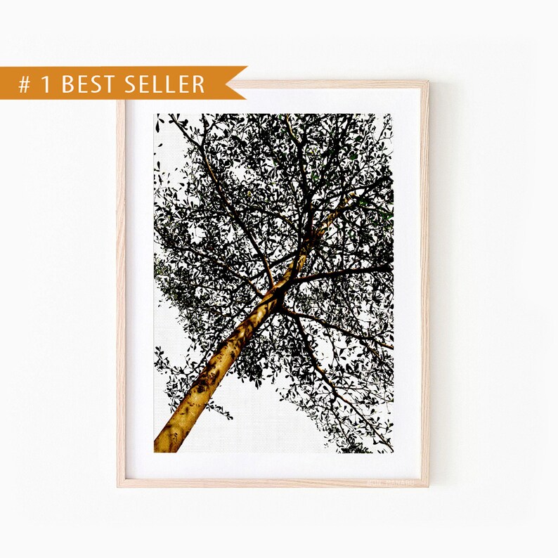 Tree Print Gallery Wall Prints Nature Art Print Minimalist - Etsy