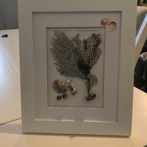 Custom, handmade, seashell and fan coral artwork