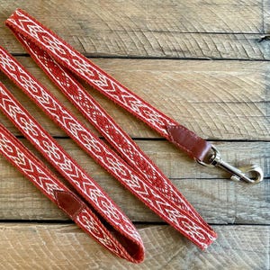 Laisse pour chien, laisse pour animaux