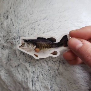 Bass Fish Sticker