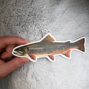 Brook Trout Sticker 2