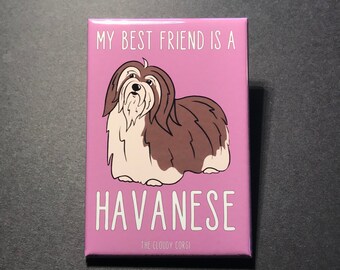Havanese Magnet, Cartoon Dog Portrait Gift, Retro Dog Kitchen & Office Decor, Gifts for Havanese Dog Lover, 2x3" Handmade Magnet