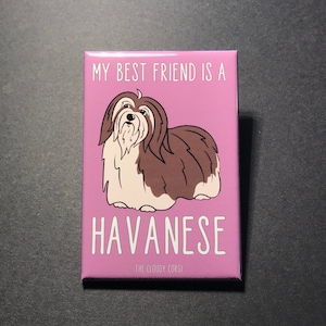 Havanese Magnet, Cartoon Dog Portrait Gift, Retro Dog Kitchen & Office Decor, Gifts for Havanese Dog Lover, 2x3" Handmade Magnet