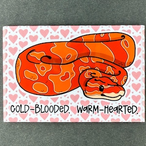 May include: A rectangular magnet featuring a cartoon snake in shades of orange and red, coiled on a pink background with heart shapes. The text "COLD-BLOODED. WARM-HEARTED." is written below the snake.