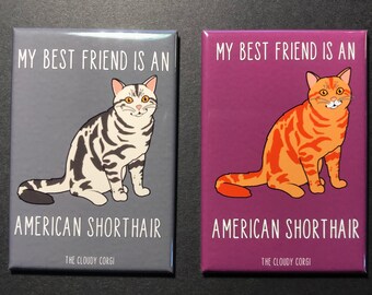 American Shorthair Cat Magnet – 2x3" Handmade "My Best Friend Is an American Shorthair" Magnet, 2 Color Options, Cat Lover Gift