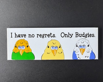 Budgie No Regrets Magnet, Budgerigar Parakeet Bird Decor, Handmade & Hand Illustrated Cartoon Portrait Art Gift 2x3