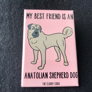 Anatolian Shepherd Dog Magnet - My Best Friend Dog Breed Gifts & Collectibles - Cartoon Art Pet Portrait Kitchen Decor