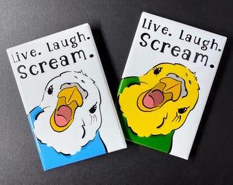Budgie Live Laugh Scream Magnet, Budgerigar Parakeet Bird Decor, Handmade & Hand Illustrated Cartoon Portrait Art Gift 2x3