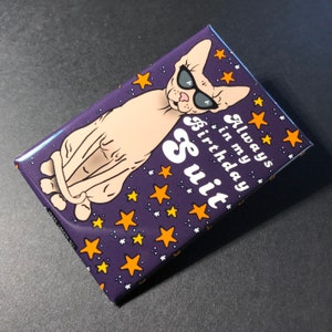 Puede incluir: Un im&aacute;n morado con una imagen de dibujos animados de un gato sin pelo con gafas de sol. El gato est&aacute; sentado sobre un fondo de estrellas amarillas. El texto "Always in my birthday suit" est&aacute; escrito en blanco en el im&aacute;n.