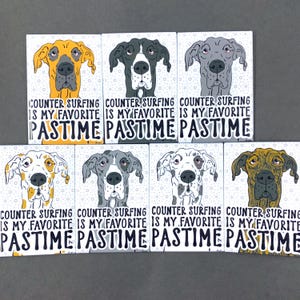 Great Dane Magnet, "Counter Surfing is My Favorite Pastime", Cartoon Art Pet Portrait Gift, Dog Kitchen & Office Decor, 2x3" Handmade Magnet
