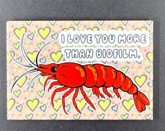 Cherry Shrimp Valentines Day Magnet, I Love You More Than Biofilm Aquarium Lover Gift, Handmade & Hand Illustrated Retro Holiday Decor 2x3