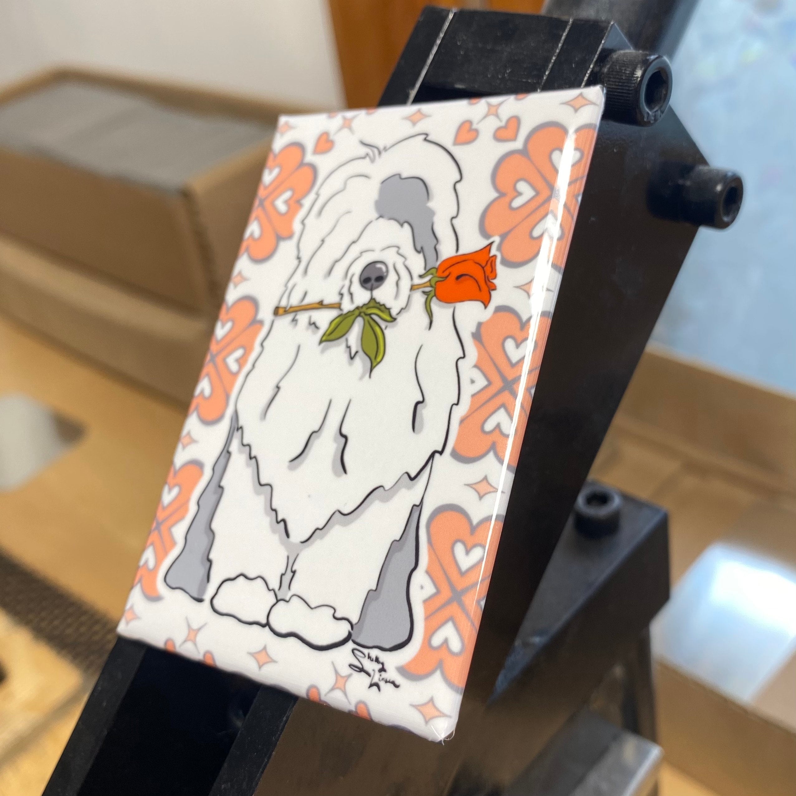 gallery photo