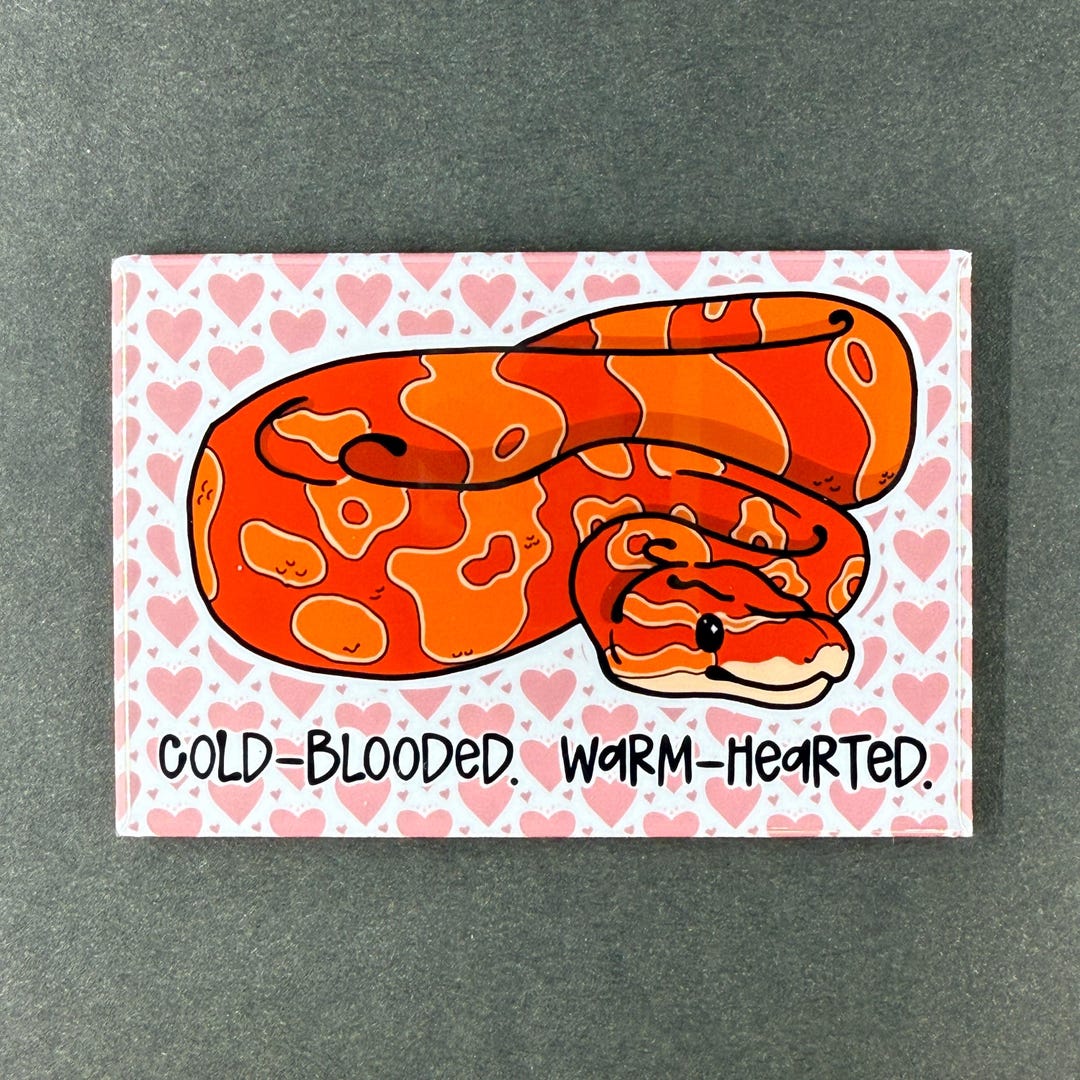Funny Ball Python Valentine Magnet Snake Lover Gift Cold Blooded Warm ...
