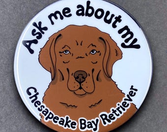 Chesapeake Bay Retriever Ask Me About My Dog Gift & Accessories - Handmade Magnet, Pinback Button, Bottle Opener, Keychain or Mini Ornament
