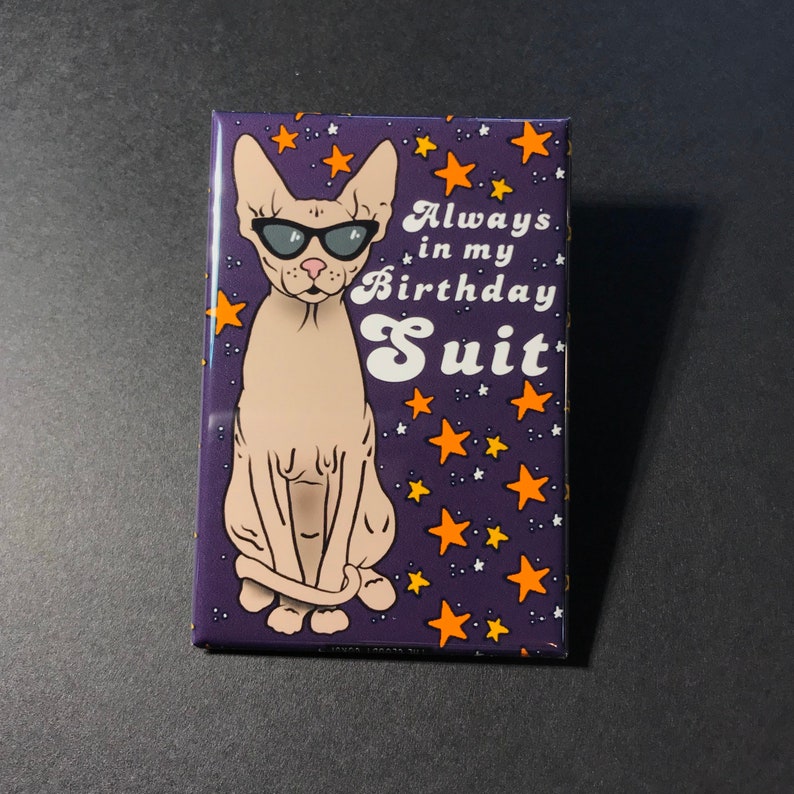 Puede incluir: Un im&aacute;n morado con un gato calvo de dibujos animados que lleva gafas de sol y el texto "Always in my Birthday Suit". El fondo es un cielo estrellado morado con estrellas naranjas.
